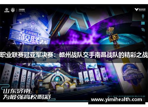 职业联赛冠亚军决赛：赣州战队交手南昌战队的精彩之战