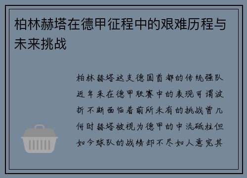 柏林赫塔在德甲征程中的艰难历程与未来挑战